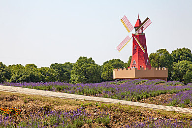 人人爽爽｜城市焕新，幸福生活大挑战-1