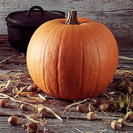 155.fun传送门｜奇幻世界之旅，155.fun传送门等你探索-3