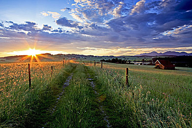 成熟的管复古自由性别|打破传统,绽放多元魅力:探索成熟管复古自由性别的时代风采-1