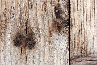 脱了内裤趴着光屁股打｜城市露营地奇趣事件引发公共行为热议-3