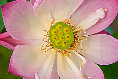 受虐狂 奴役 支配 性狂虐｜揭秘隐秘欲望：受虐狂、奴役、支配、性狂虐背后的心理动因与价值意义-3