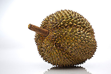 yp＊请牢记此域名防止失联｜域名警示：守护网络安全，共筑信息防线-2