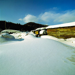 男女打扑克秘 免费软件｜“扑克乐园新风尚，趣味社交两不误，娱乐互动新体验”