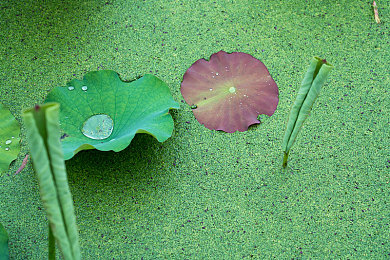 十八禁黄|解锁成人娱乐新境界:揭秘“十八禁黄”的视听盛宴与隐私守护-1