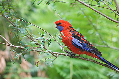 厨房里丰满的女人|传承与创新,厨房女神传奇故事揭秘-1