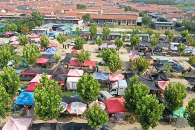 404黄色下载｜网络迷雾中的清朗守护：破解“404黄色下载”困境-2