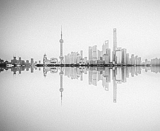 荷兰农场主七个女儿｜荷兰七姐妹：农业领域的巾帼英雄，家族荣耀与社会典范-4