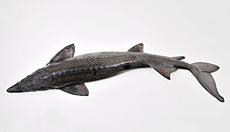 中文国产av｜中文成人影视市场迅猛崛起引发法治与道德挑战