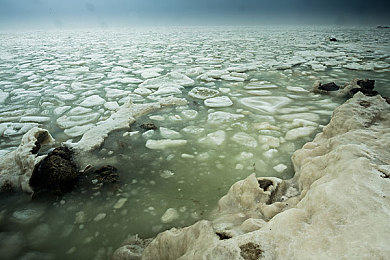 英语老师的小兔子｜英语老师与小兔子温馨互动，课堂变身爱心乐园