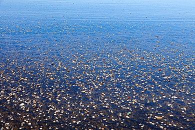 三上悠亚《完美情人》无删减｜情感纠葛与人性探讨的真实体验游戏-1