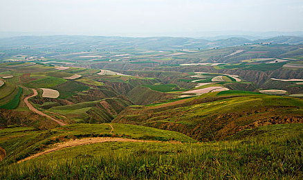 张柏芝在看夜色我在看她｜“星光璀璨夜色下，张柏芝私享宁静引发隐私界限热议”-4