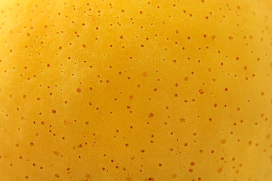 男女差差差差｜趣味应用“男女差差差差”：趣味解析性别差异，开启生活新视角-2