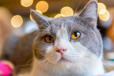 绿巨人破解版冷眸|破解软件热潮引发法律风险与用户反思-3