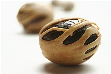 美女直播打扑克软件|直播新潮流:美女打扑克APP走红,揭秘其背后社会现象与影响-3