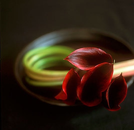 free性满足hd性bbw｜解码网络性表达新趋势：“Free性满足HD性BBW”现象背后的社会文化变革-1