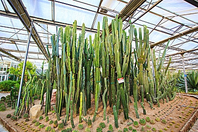 男生和女生一起差差差的软件｜趣味互动，邂逅美好时光——差差差恋爱游戏-2