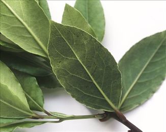 青果直播|青果直播盛宴,畅游互动新天地-3