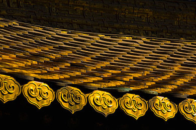 TikTok国际色板黄|色彩风暴,TikTok黄板奇遇记-1