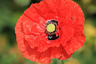 男性GAY戴套 免费网站|探索男性GAY戴套免费网站:性健康教育新途径,挽救生命助力健康-3