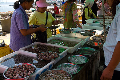 机机对机机手机下载版大全|手机应用宝库,畅游下载盛宴-2