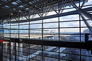 娇小亚女挑战巨大黑迪克｜娇小勇士挑战巨兽BOSS：勇智并重，奇幻冒险游戏引关注-4