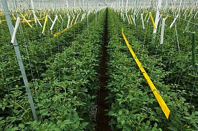 注射器打水放屁处罚|注射器“放屁”引发工厂重罚:揭示生产安全隐患警示录-1