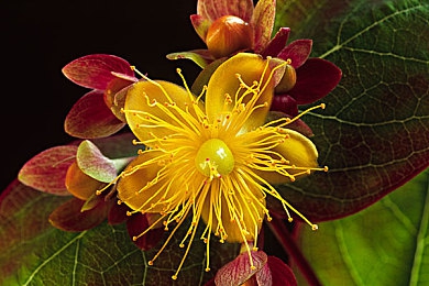 纸巾盒用妹妹做实验2|“纸巾盒实验事件警示:家庭教育安全意识亟待提升”-2