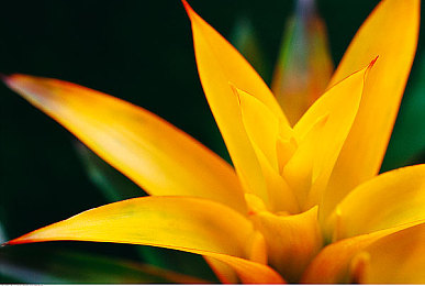 风流肥婆大BBWBBW｜古代风流肥婆传奇：大BBWBBW的智慧之旅-2