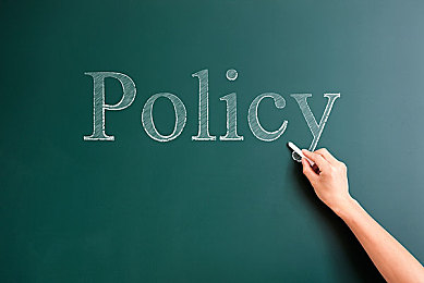 猫咪社区|城市爱猫人士联合构筑温暖情感陪伴社区-1