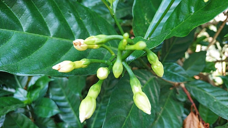 月夜直播在线观看免费完整版｜月夜盛宴，免费直播，共享传统文化之美-2