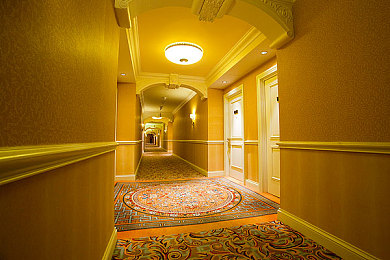 黄品汇绿巨人｜电商环保新篇章：黄品汇携手绿巨人共筑绿色未来-2