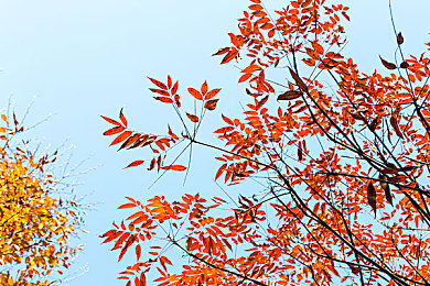 按摩师玩弄贵妇｜贵妇按摩门事件：行业规范拷问，社会道德反思-2