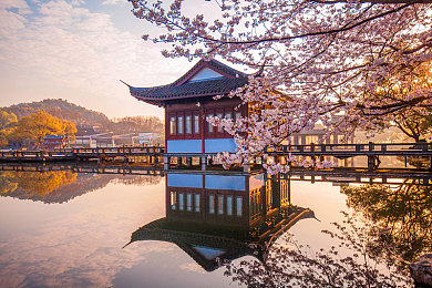 按摩时被揉花蒂高潮｜花蒂按摩：身心愉悦之旅，解锁极致放松体验-2