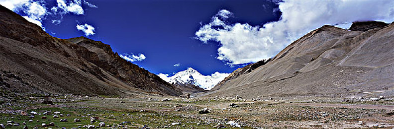 黄色软件app下载3.0.3免费2023免费版|揭秘:百万下载量背后的黄色软件,网络环境谁来守护?-2