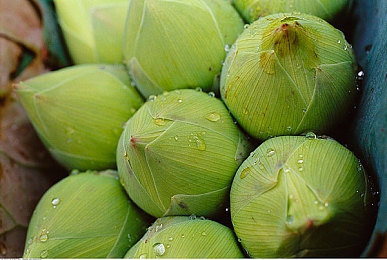 星空传媒孟孟过年相亲 2023｜传统新春遇现代爱恋，星空传媒孟孟搭建相亲盛宴-3