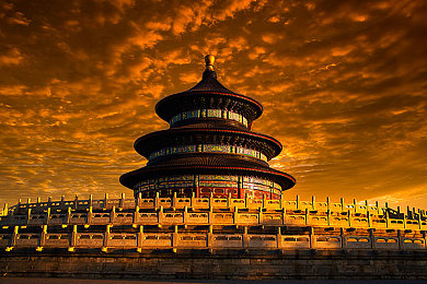 针 极端 疼痛 拳 重口｜痛感极限挑战，拳拳到肉欲罢不能的极致体验-3