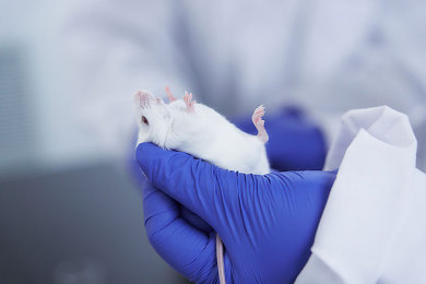 一男一女打扑克软件｜扑克软件热潮引发的社交变革与思考-1