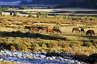 老师让我 她我爽羞羞｜寓教于乐探秘课堂，趣味学习《羞羞课堂》体验之旅-1