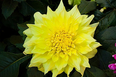 腾讯涩漫 黄漫免费网站｜探索性与关系的冒险之旅，释放内心的好奇心-3