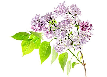 福建导航导入app免费下载｜畅游福建，导航无忧，免费出行神器-4