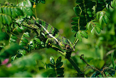 天娱传媒梦梦回家相亲｜天娱传媒“梦梦回家相亲”独特模式走红，单身男女寻找真爱之旅-2