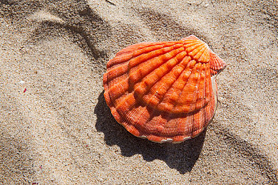 国产精品国产精品｜国产精品引领品质生活新潮流，揭秘国产精品的魅力与应用