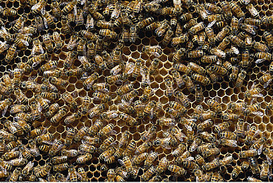 雏田去内奖励旅小女孩的背景故事|温暖传递,点亮希望之旅-3