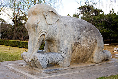 桃花岛网站｜岛主领航，互动盛宴，共创社交新篇章-2