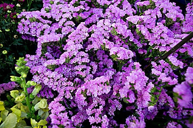 麻豆AV剧情｜日本成人娱乐产业崛起，社会反思与道德争议-3