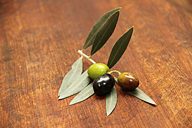 黄色软件免费下载APP.3.0.|网络惊现“黄色软件免费下载APP.3.0.”,非法内容引发社会关注-3