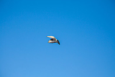 男男GayS 免费网站｜“男男GayS免费网站引发热议：同性恋交流平台如何平衡便利与监管？”-4