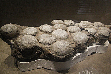 黄色软件app免费下载2023｜免费探险之旅：解锁神秘黄色世界，畅享游戏新体验-3