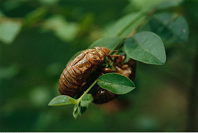 а√最新版天堂8｜天堂8а√版焕新启航，视觉盛宴畅游新纪元-3