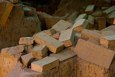 《兽娘通信～鸟娘露瑟亚》｜鸟娘露瑟亚：和谐通信，守护自然之梦-2